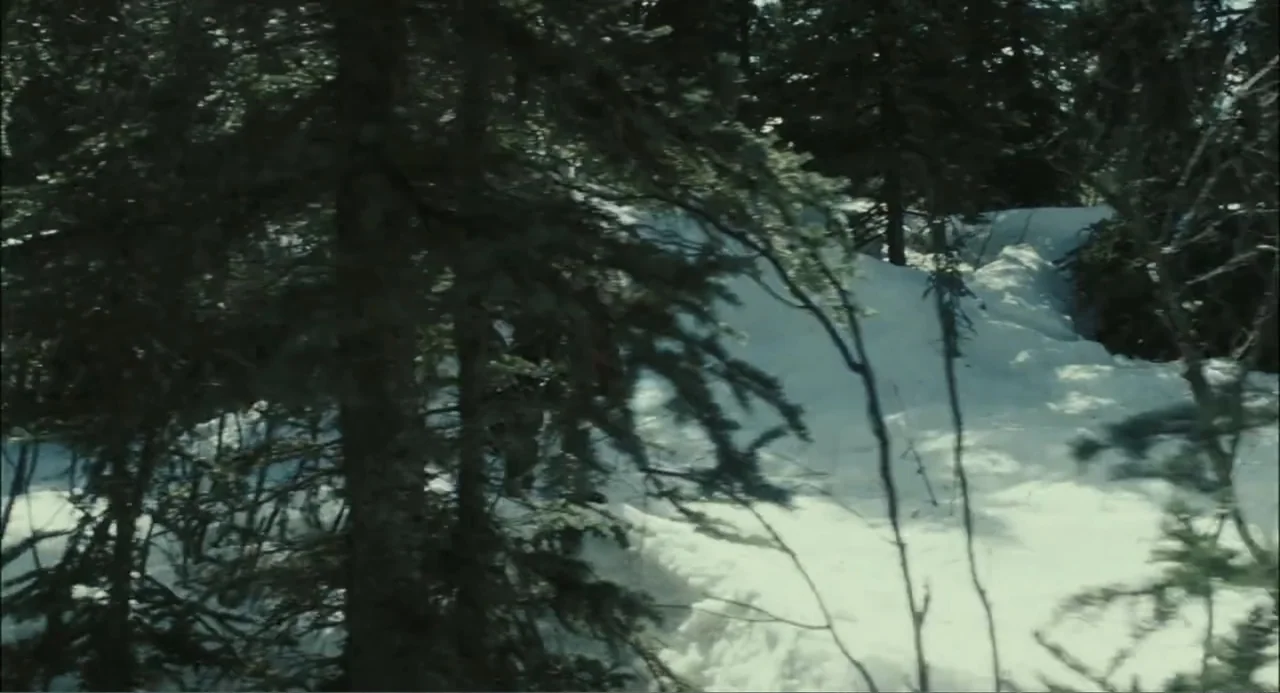 El hijo del diablo (1966) movie still: establishing — A dense grove of evergreen trees stands in a snowy, uneven landscape. Thick snow blankets the…
