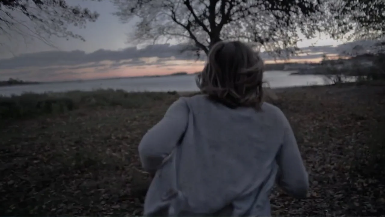 Silent House (2011) movie still: medium — A dark, grassy shoreline leads to a calm body of water at sunset. A woman in a grey sweater walks away…