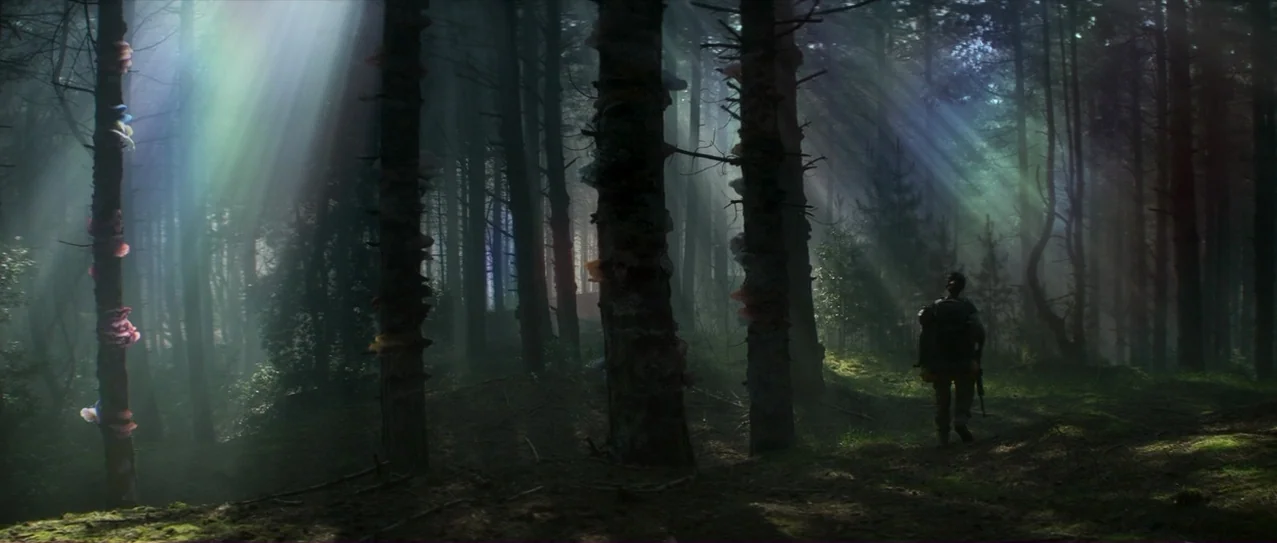 Annihilation (2018) movie still: wide — A dense, dark pine wood features vertical light beams cutting through thick morning haze. A lone hiker with…