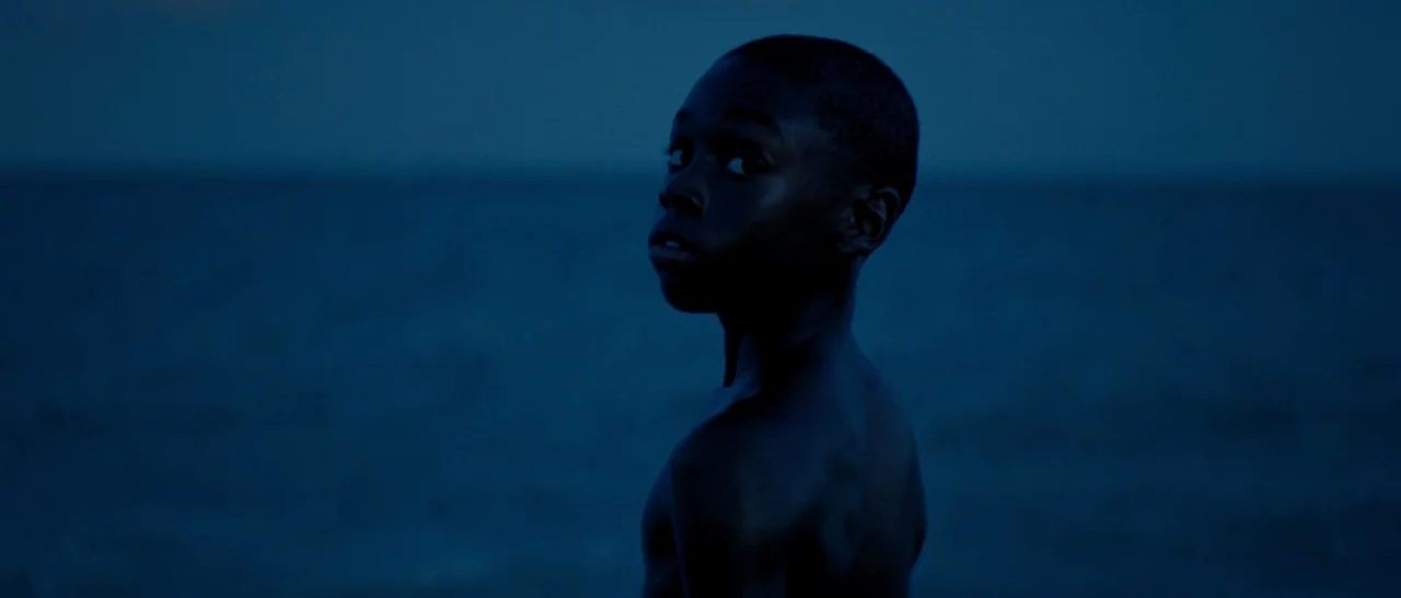 Moonlight (2016) movie still: medium — A dark ocean surface extends to the horizon under a dim night sky. A young boy looks back toward the camera…