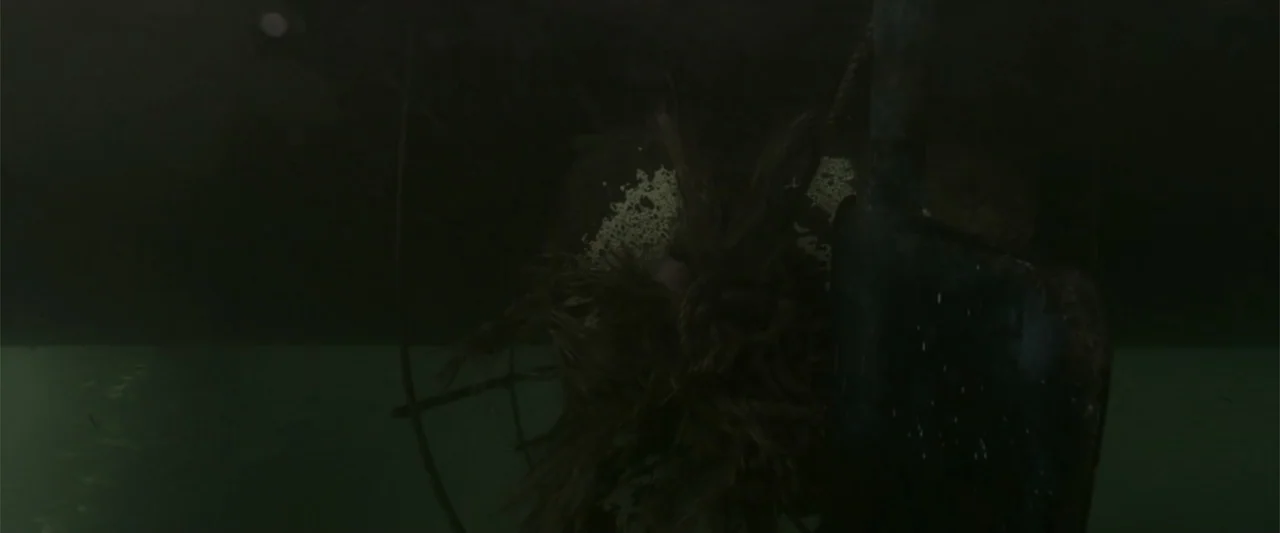 Anaconda (1997) movie still: closeup — A metal spade hangs submerged in dark murky green water at night. The spade is partially obscured by rope and…