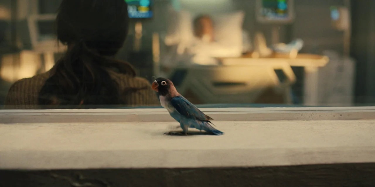 Silent Night (2023) movie still: medium — A small blue bird sits on a white windowsill inside a modern clinical facility. A person sits with their…