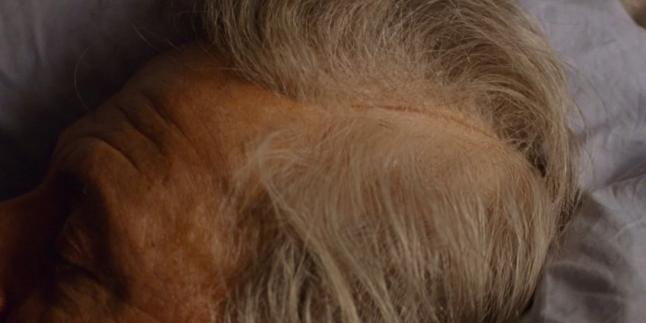 The Meyerowitz Stories (New and Selected) (2017) movie still: closeup — An elderly man rests his head on a rumpled pillow in a bedroom. The person…