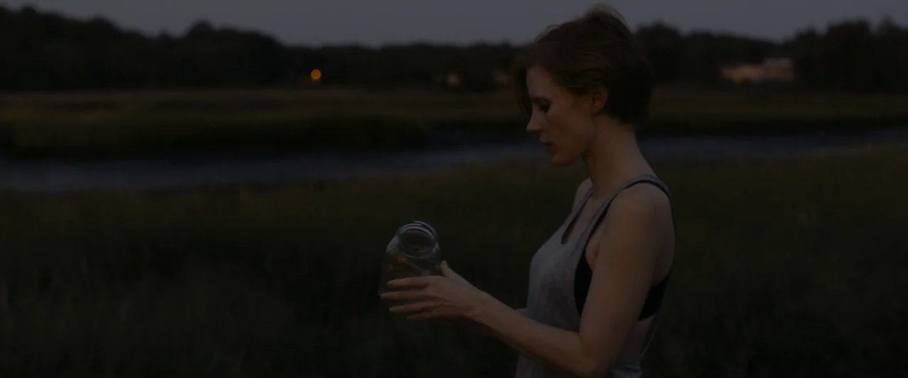 The Disappearance of Eleanor Rigby: Her (2014) movie still: medium — A woman stands in a dark, grassy field near water during the twilight hour. She…