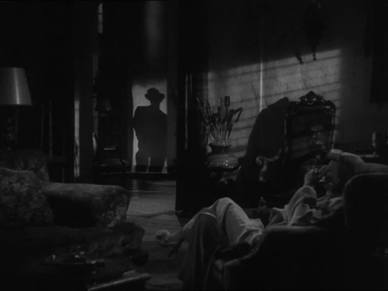 Double Indemnity (1944) movie still: medium — A dimly lit room features a woman seated in a patterned armchair facing away. A sharp shadow of a man…
