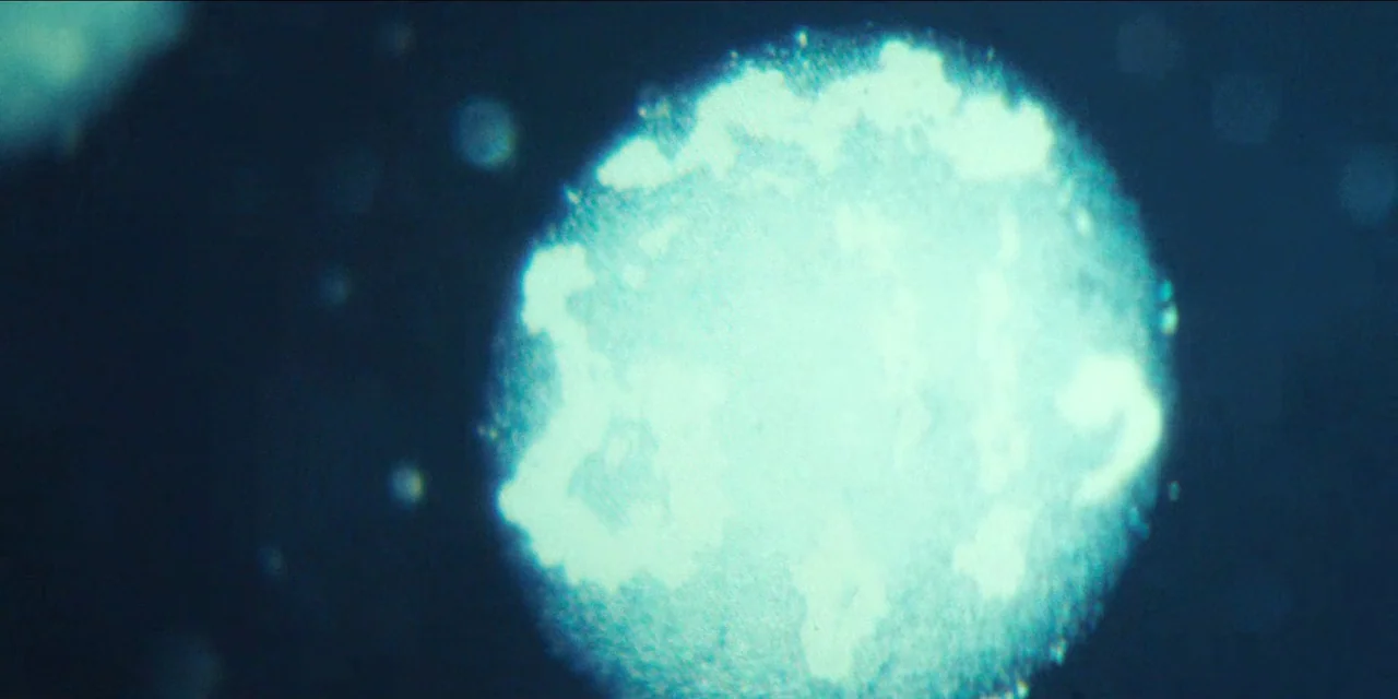 Spermworld (2024) movie still: closeup — A bright, glowing, roughly circular light source floats in a deep blue void. The light is textured and…