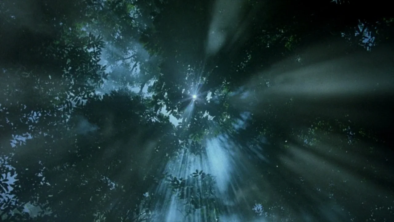 Platoon (1986) movie still: establishing — A dense green tree canopy viewed from below blocks most of the sky. Sunlight pierces through the foliage…