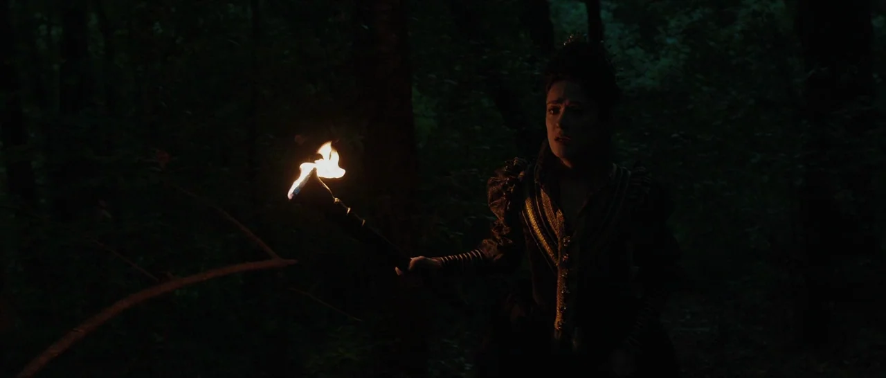 Tale of Tales (2015) movie still: medium — A woman in dark vintage clothing walks through a dense forest at night. She holds a burning torch that…
