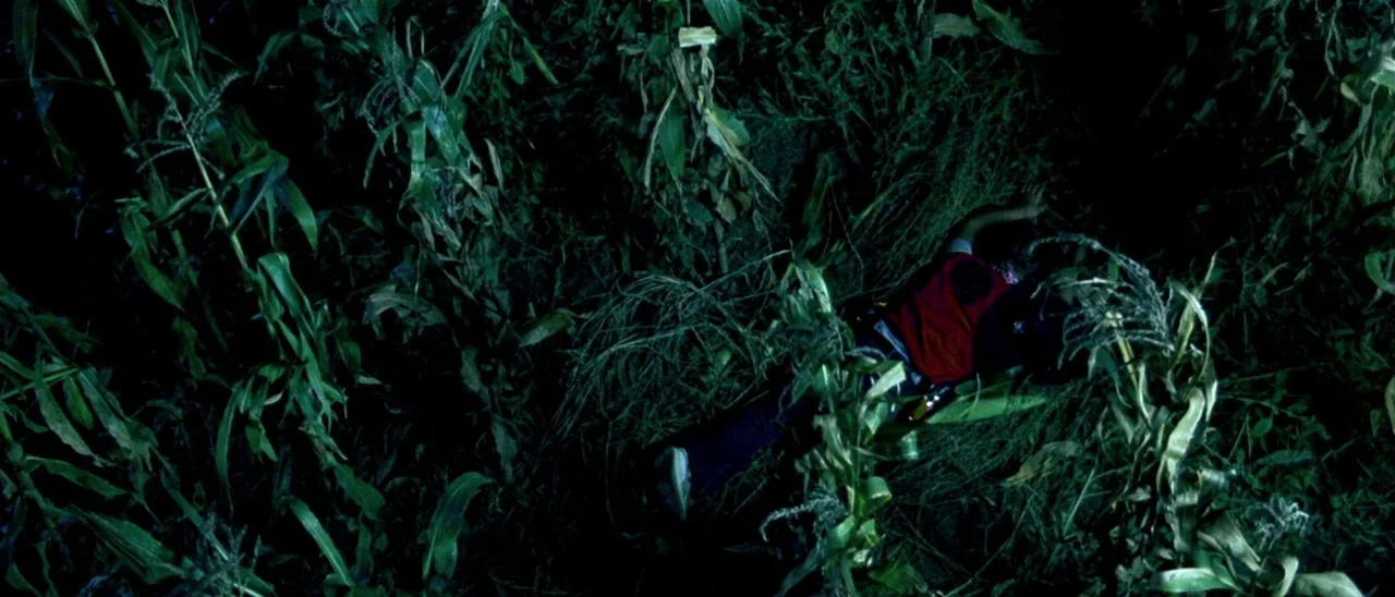 Haute Tension (2003) movie still: wide — A dark, dense patch of tall corn stalks grows at night. A person lies horizontal on the dirt between the…