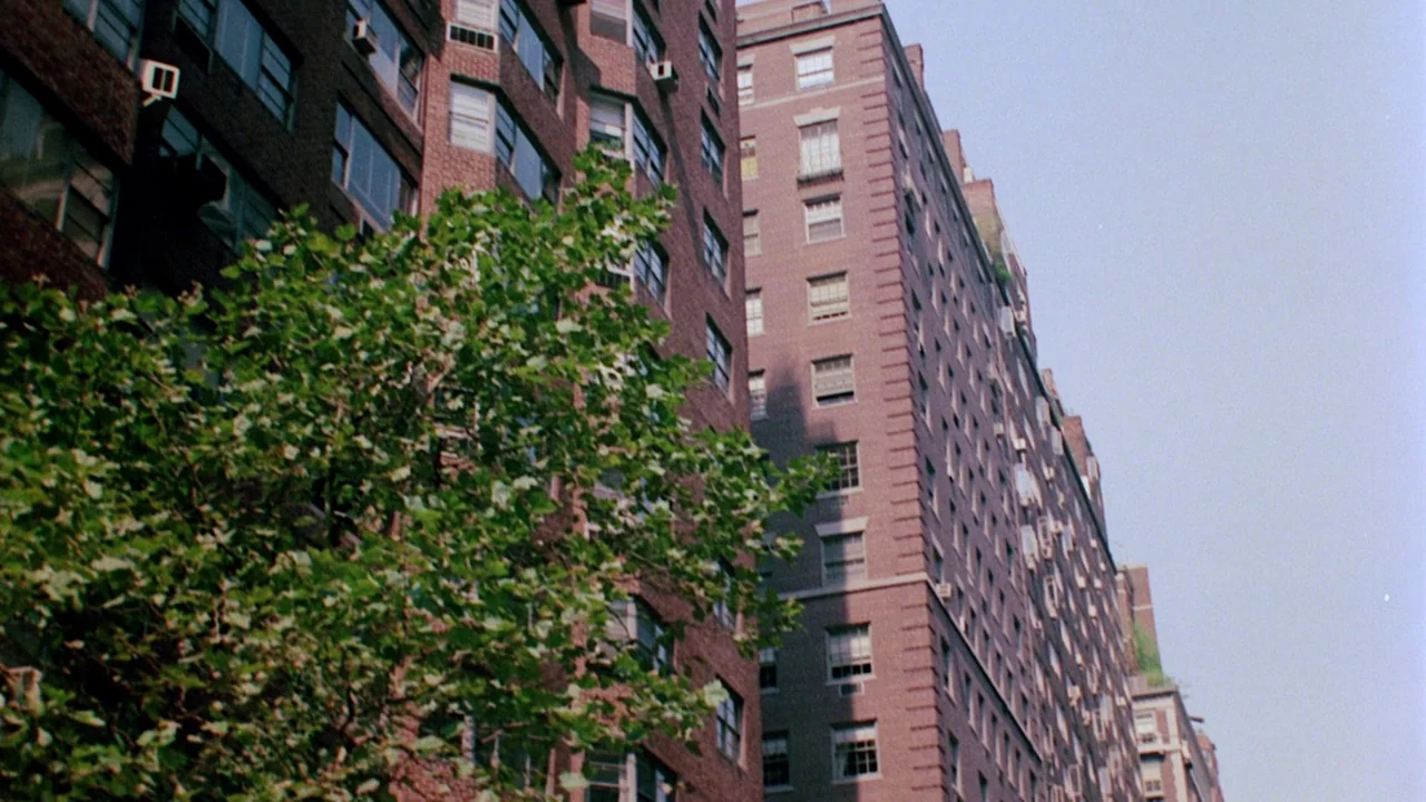 I Spit On Your Grave (1978) movie still: establishing — Two tall pre-war brick apartment buildings flank a leafy tree on a city street. Sunlight…