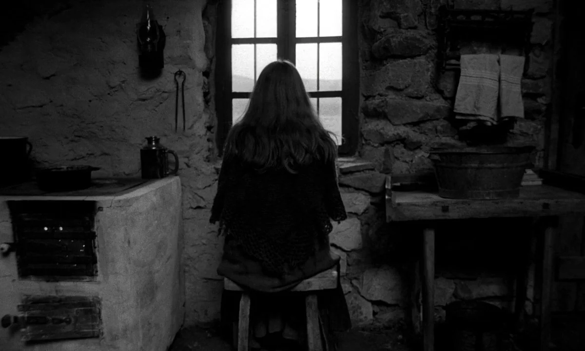 The Turin Horse (2011) movie still: medium — A rustic interior with exposed stone walls and a small wooden window. A woman with long hair sits on a…