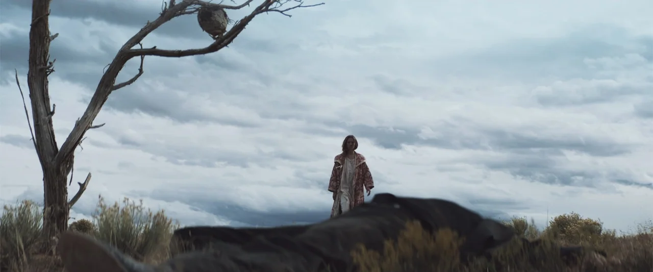 The Wind (2005) movie still: wide — A vast, open field under a heavy, overcast sky with a gnarled dead tree. A woman in a patterned robe walks…