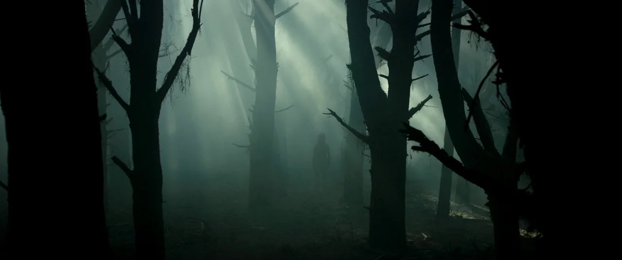 Evil Dead (2013) movie still: wide — A dense, fog-filled woods features dark pine trees with gnarled branches and low visibility. A small silhouette…