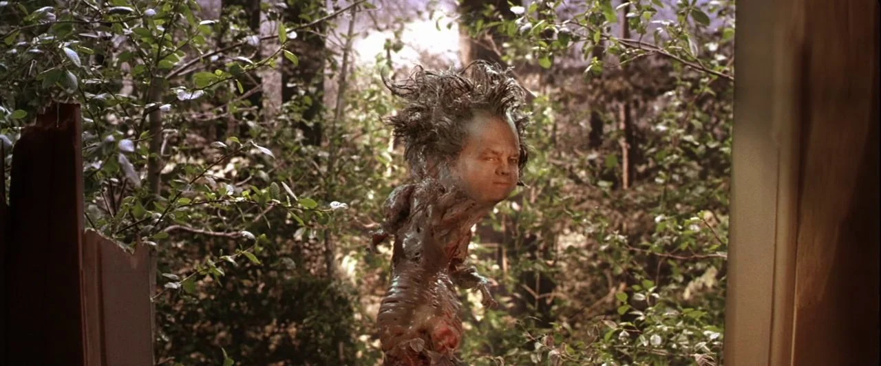 The Witches of Eastwick (1987) movie still: medium — A clearing in a dense woodland area with thick green foliage and trees. A small, organic…