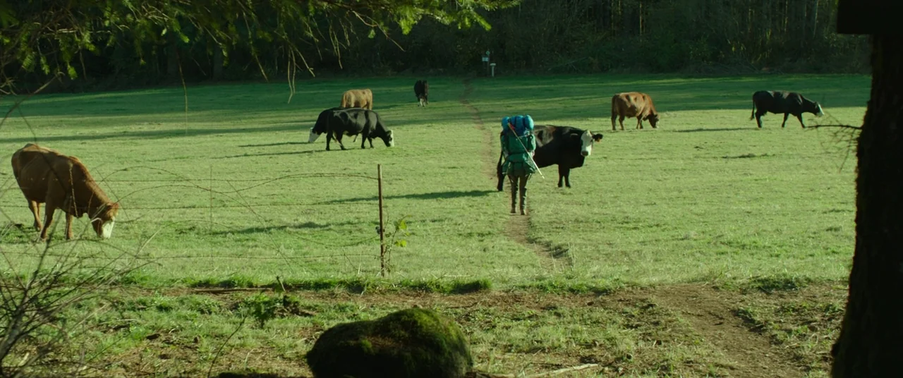 Wild (2014) movie still: wide — A green pasture holds several cows grazing near a dirt walking path. A lone hiker with a large backpack walks away…