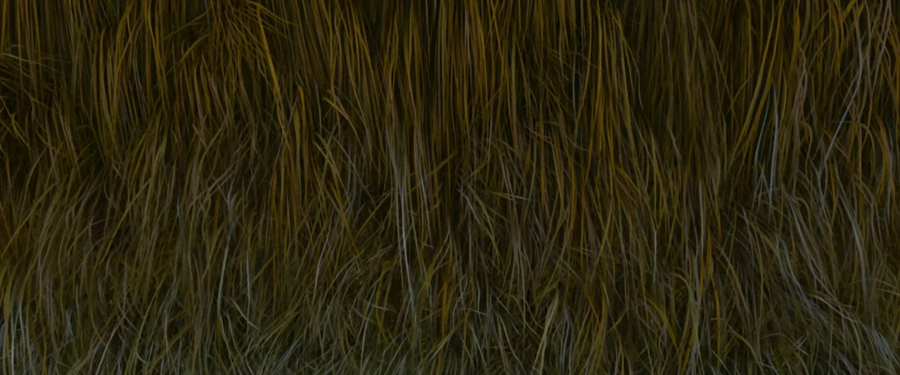 Stoker (2013) movie still: closeup — A cluster of tall dry grass blades fills the entirety of the frame. Individual stalks appear in sharp focus…