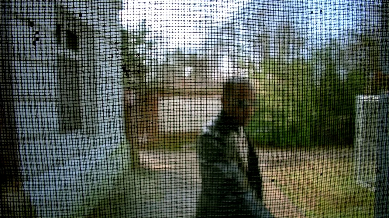 Belly (1998) movie still: medium — A residential setting viewed through a dark, fine-mesh screen door. A man in a suit stands outside on a porch…