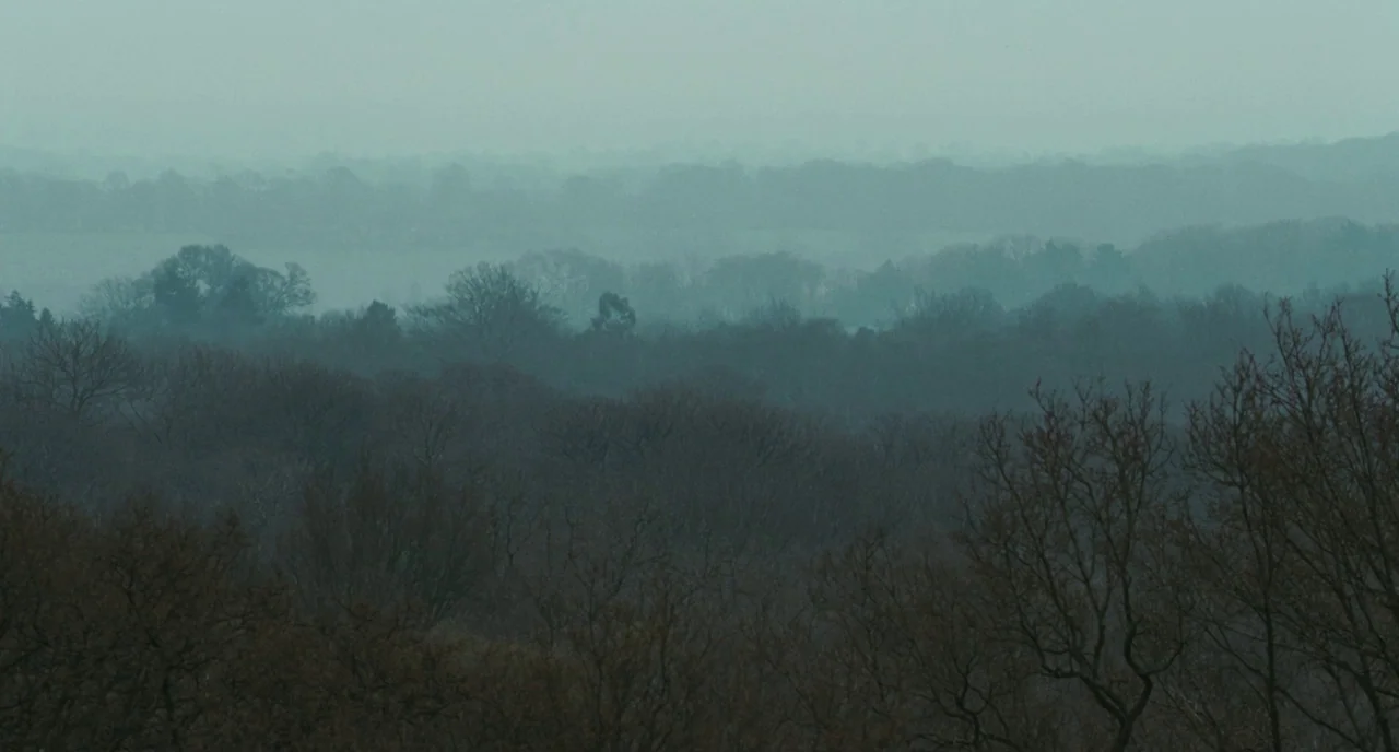 Bright Star (2009) movie still: establishing — A wide, multi-layered view of a dense forest during a foggy, overcast day. Layers of tree canopy…