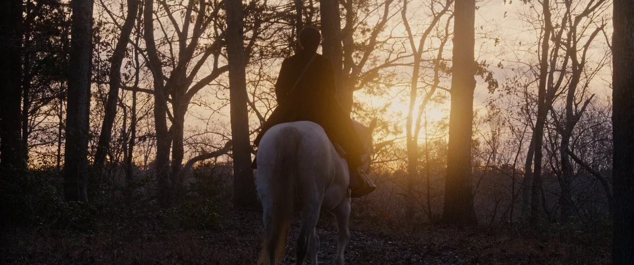 Harriet movie still: fullbody — A dense woodland with leafless trees at sunset as the primary light source. A rider on a pale horse moves forward…