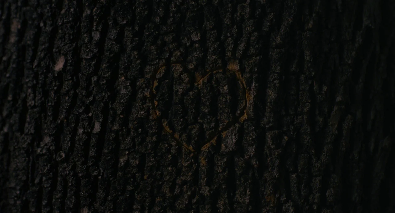 Palo Alto (2013) movie still: closeup — A close-up view shows the dark, deeply furrowed bark of a large tree. A heart shape is carved into the…