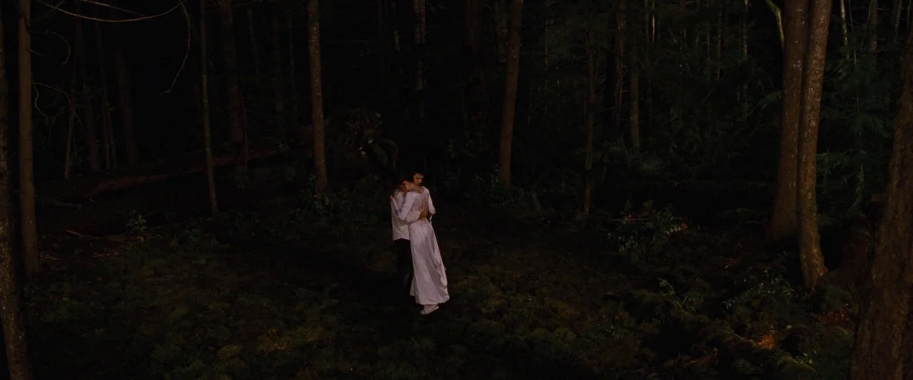 The Twilight Saga: Breaking Dawn – Part 1 (2011) movie still: wide — A dense dark forest floor covered in moss and tall surrounding tree trunks. A…