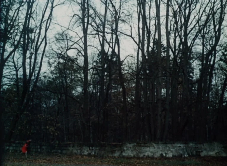 Fruit of Paradise (1970) movie still: wide — A dense cluster of bare deciduous trees stands behind a weathered, low stone wall. A small child in a…