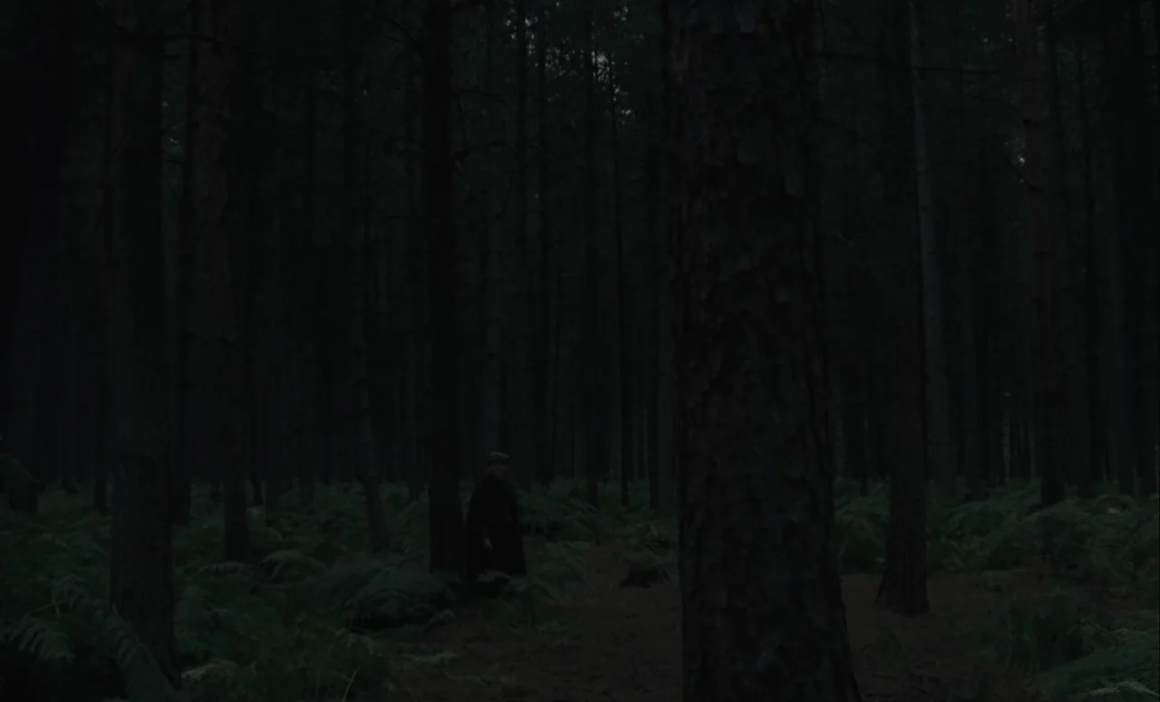 Mahler (1974) movie still: wide — A dense coniferous forest filled with tall pine trees and low-lying ferns. A man in a dark overcoat stands alone…