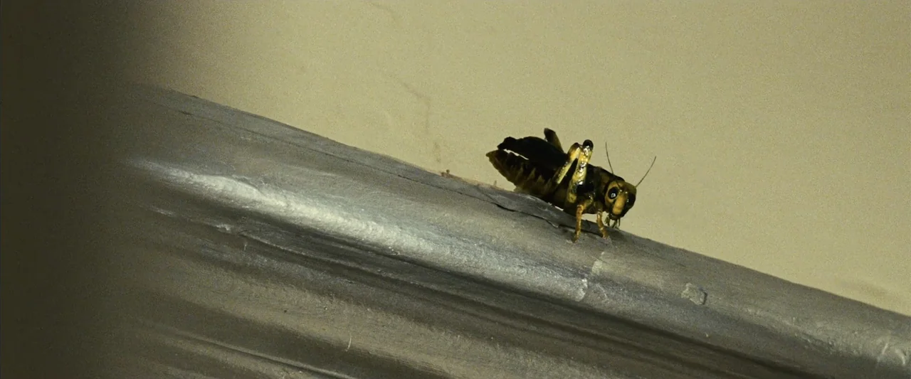 Reality (2023) movie still: closeup — A close-up view of a painted wooden trim piece inside a quiet room. A grasshopper sits on the textured surface…