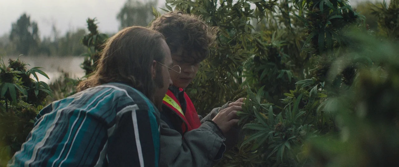 Honey Boy (2019) movie still: medium — A field of cannabis plants grows under an overcast sky near a distant body. An adult and a young person…