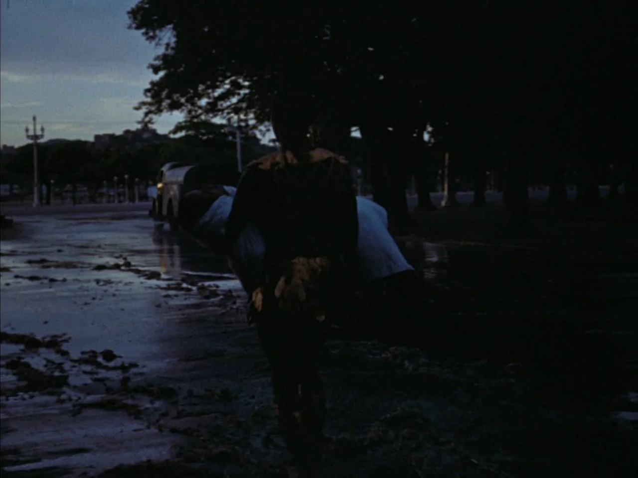 Black Orpheus (1959) movie still: fullbody — A dark park at night features large silhouetted trees against a twilight horizon. A person walks away…