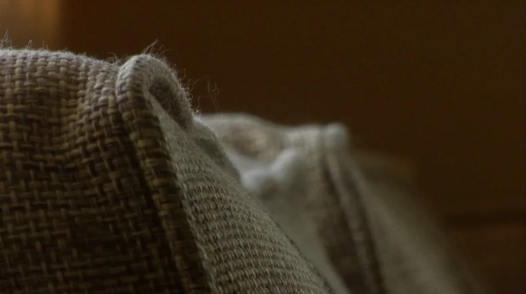 Humpday (2009) movie still: closeup — A close-up view of a coarse beige woven fabric cushion with visible fibers. The background is a soft-focus…