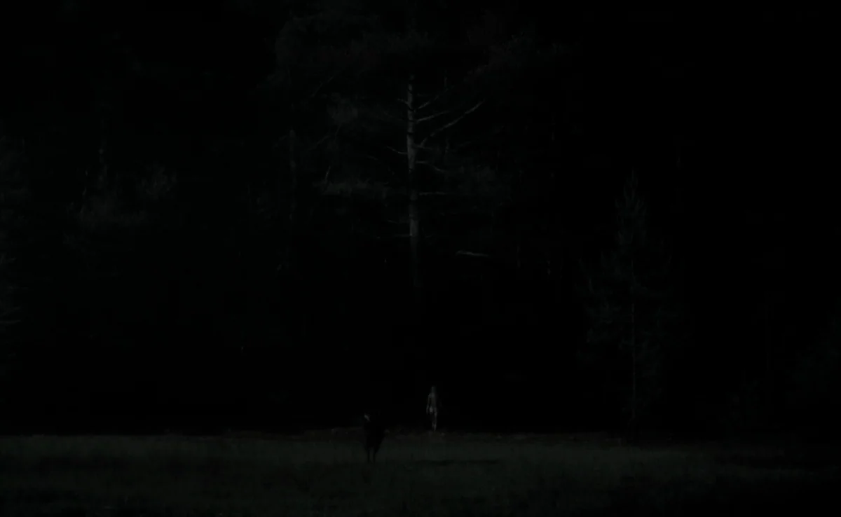 The Witch (2015) movie still: wide — A dark meadow meets the dense foliage of a black pine tree forest at night. A lone figure stands near the…