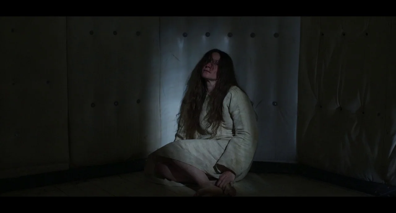 True History of the Kelly Gang (2019) movie still: fullbody — A dark corner of a room featuring wall padding with distinct circular fastener…