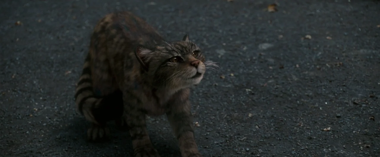 The Golden Compass (2007) movie still: medium — A textured grey asphalt surface covers the ground in a dim exterior environment. A small, furred…