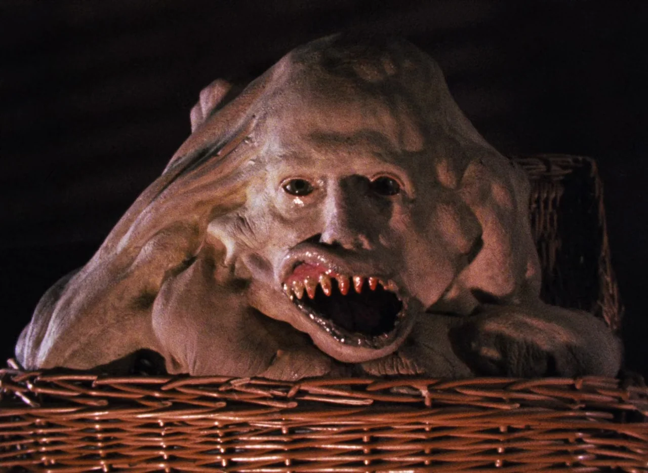 Basket Case (1982) movie still: closeup — A deformed, fleshy monster with sharp teeth sits inside a brown wicker basket. The creature looks directly…