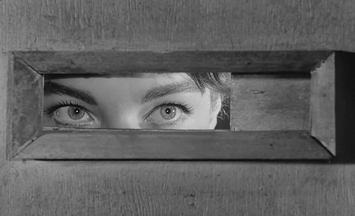 The Trial (1962) movie still: closeup — A close-up view through a small, horizontal opening in a rough wooden barrier. Two human eyes are visible…