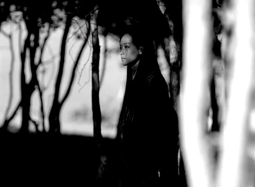 The Assassin (2015) movie still: medium — A woman stands in a dense grove of white-barked trees with dark foliage. The subject looks off into the…