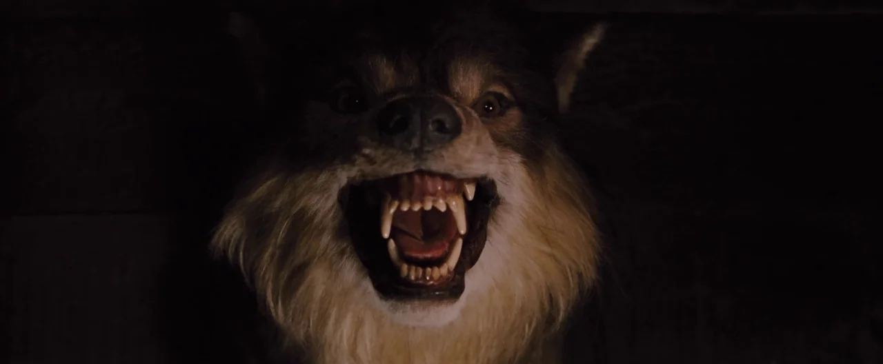 The Cabin In The Woods (2012) movie still: closeup — A close-up view shows a snarling wolf emerging from an obscured dark environment. The animal…