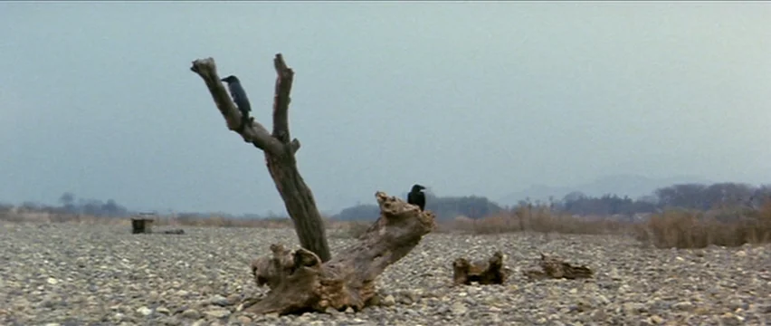 Lone Wolf and Cub: White Heaven in Hell (1974) movie still: wide — A wide, arid riverbed covered in smooth grey stones features a solitary dead…