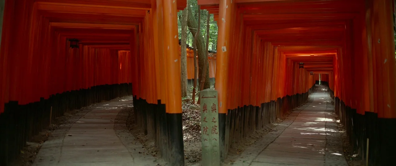 Samsara (2011) movie still: establishing — Two converging stone paths wind through a dense forest marked by countless orange torii gates. A stone…