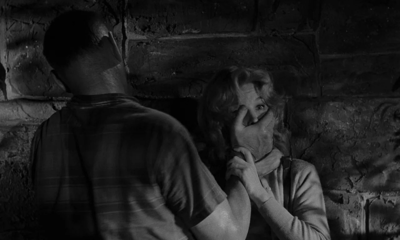 Something Wild (1961) movie still: medium — A dark stone cellar wall provides a backdrop for a tense physical confrontation. The man stands with his…