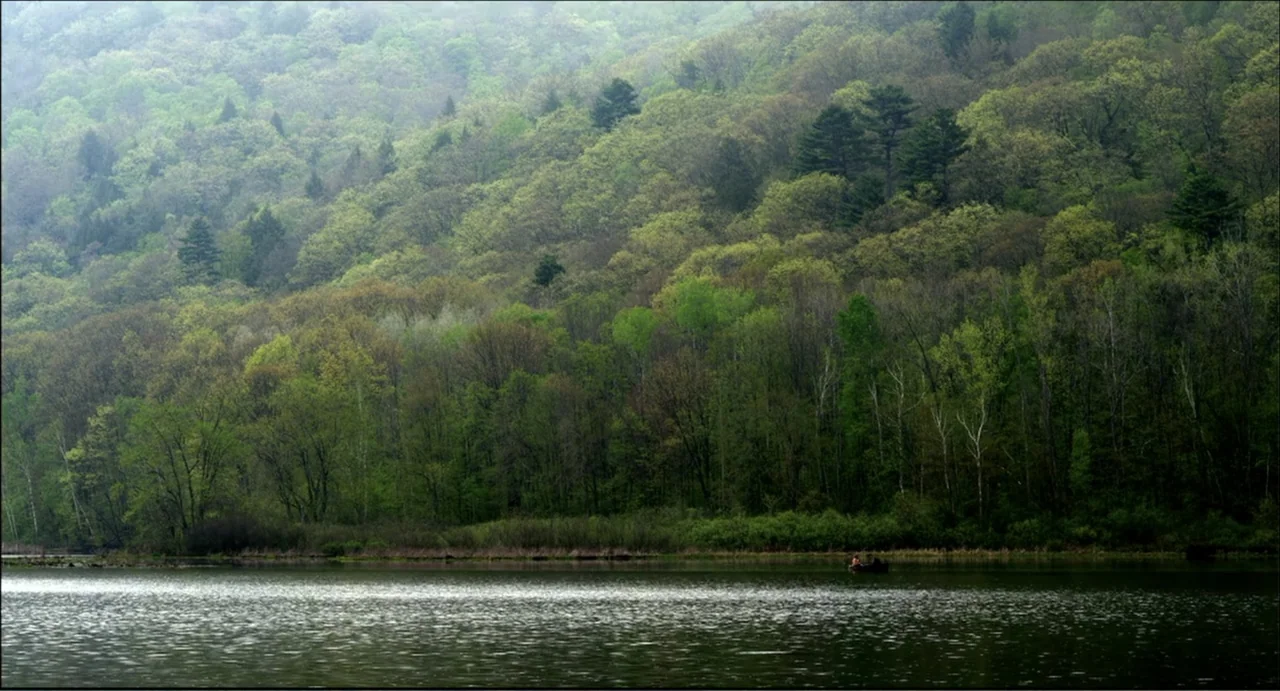 The Secret Village (2013) movie still: establishing — A dense forest covers a hillside sloping down to the edge of a lake. A small boat sits on the…