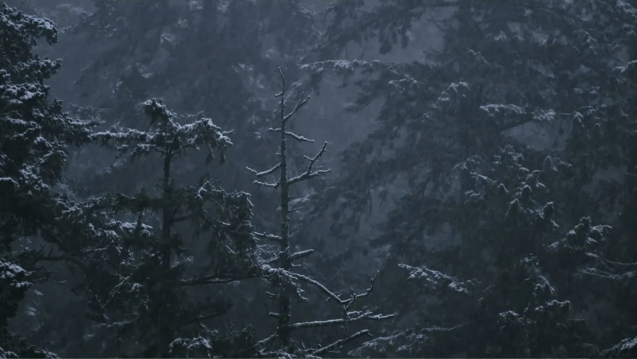 Dear Rider: The Jake Burton Story (2021) movie still: establishing — A dense stand of snow-covered coniferous trees fills the frame under overcast…