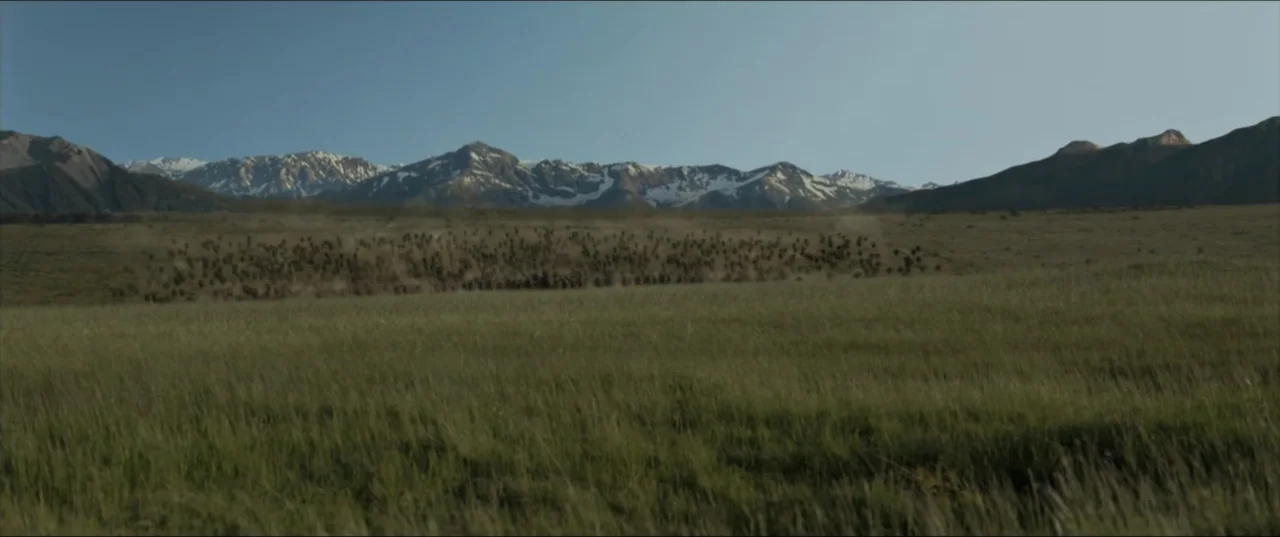 Kraven the Hunter (2024) movie still: establishing — A vast grassy plain stretches toward a distant range of snow-capped mountains. A herd of bison…