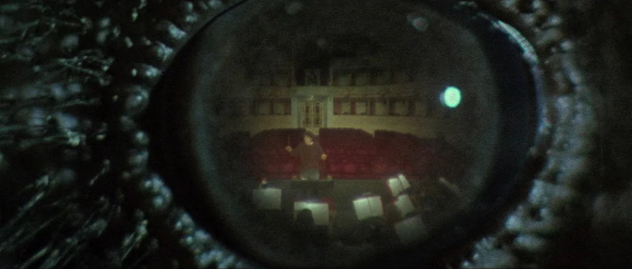 Opera (1987) movie still: closeup — A dark, textured animal eye contains a clear reflection of a theater interior. The reflection shows a conductor…