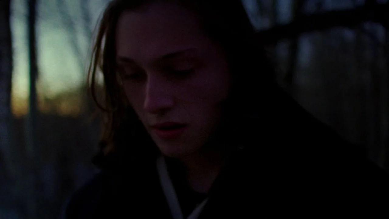 I Am Not a Serial Killer (2016) movie still: closeup — A dense woodland area is visible at dusk with trees blurred in the background. A young woman…