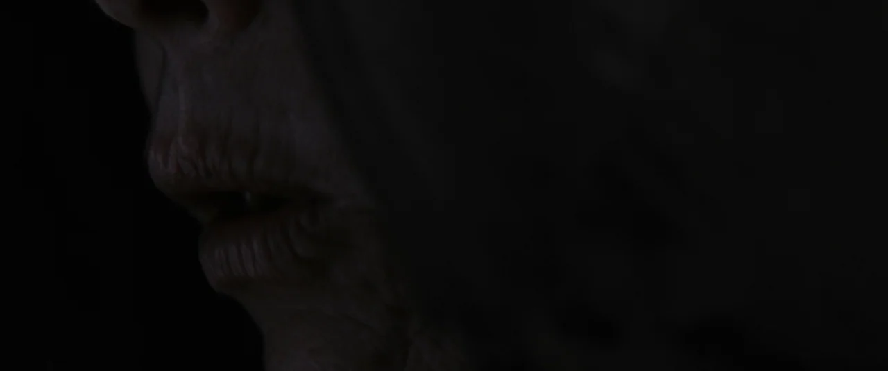 The Hole in the Ground (2019) movie still: closeup — A close view of a face partially illuminated in a dark setting. The person's lips and part of…