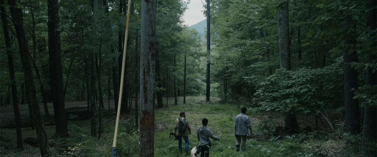 It Comes at Night (2017) movie still: wide — A dense patch of temperate woodland features tall pine trees and thick ground vegetation. Three people…