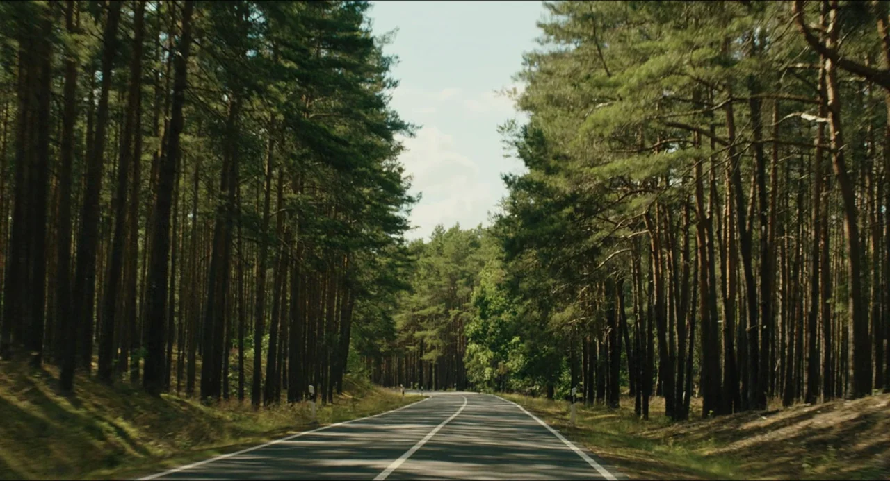 Afire (2023) movie still: establishing — A two-lane paved road winds through a thick pine forest on a sunny day. Tall pine trees line both sides of…