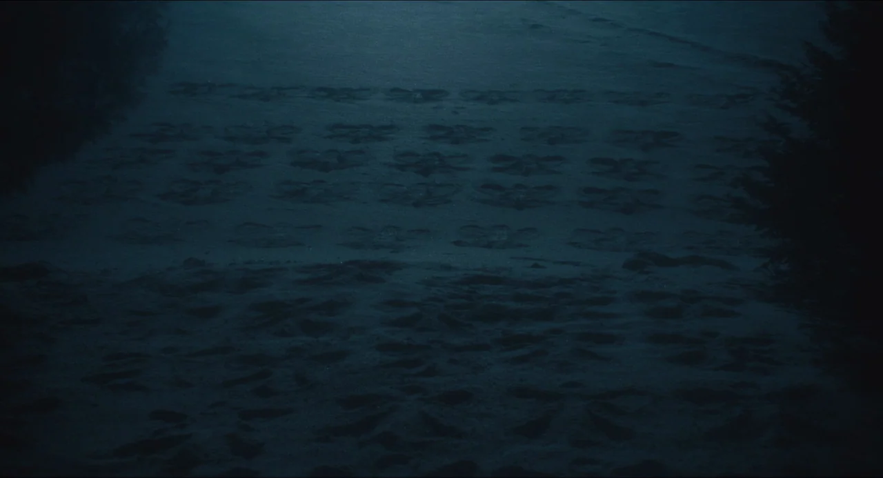 The Lodge (2019) movie still: establishing — A field covered in snow at night features rows of distinct snow angel patterns. The impressions are…